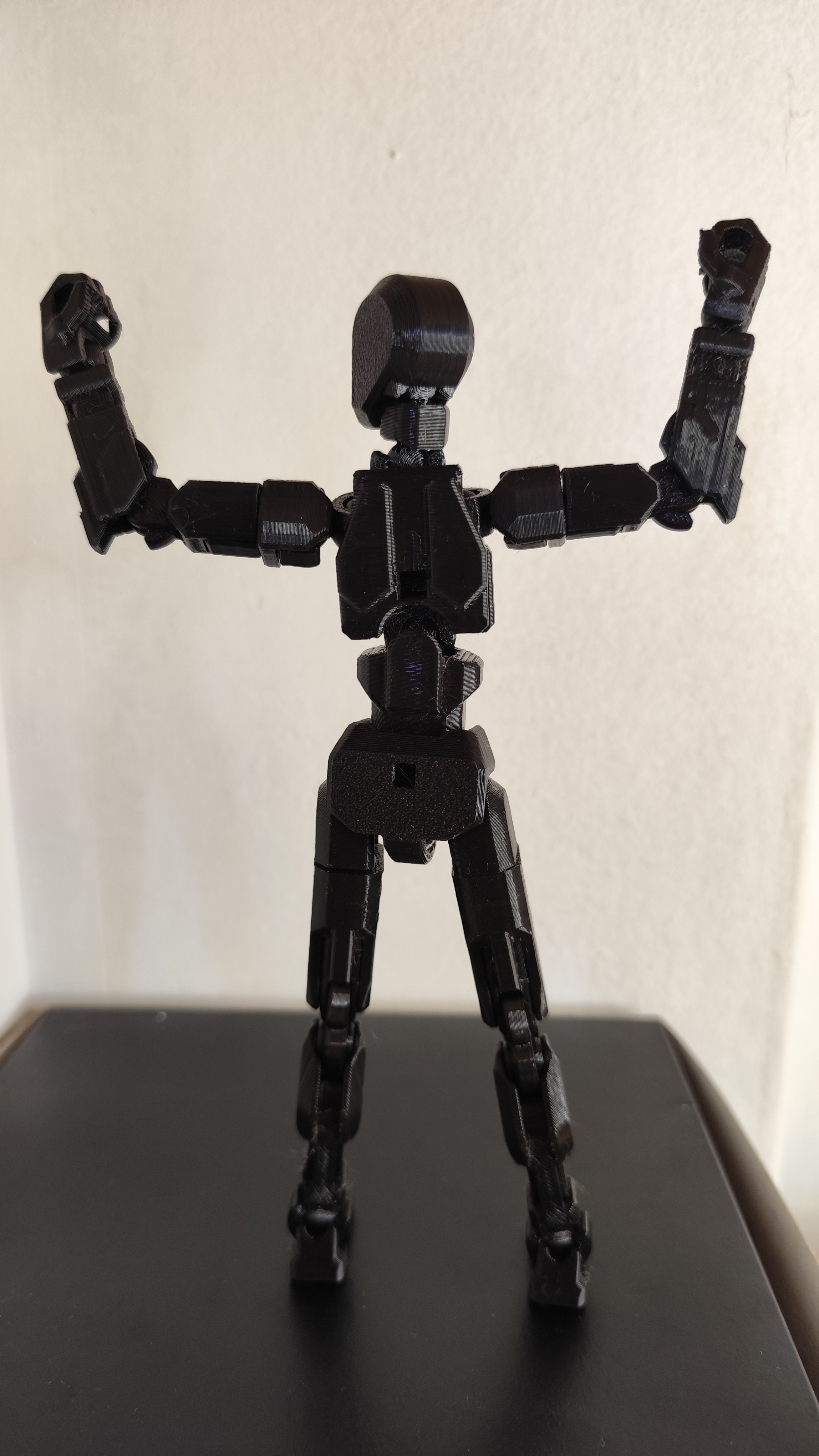 imagen de una impresion en 3D de brr Robot Dummy